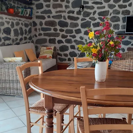 Location Au Coeur Du Deves, Proche Puy-en-velay Et Chemin De St-jacques - Fr-1-582-447