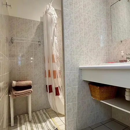 Location Au Coeur Du Deves, Proche Puy-en-velay Et Chemin De St-jacques - Fr-1-582-447 3*