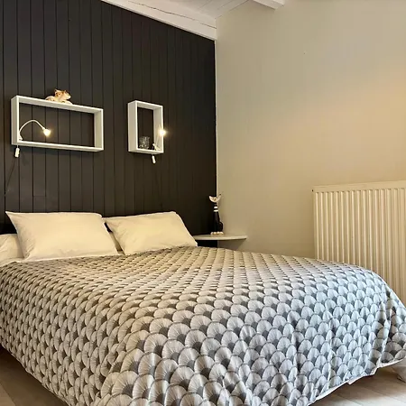 Location Au Coeur Du Deves, Proche Puy-en-velay Et Chemin De St-jacques - Fr-1-582-447