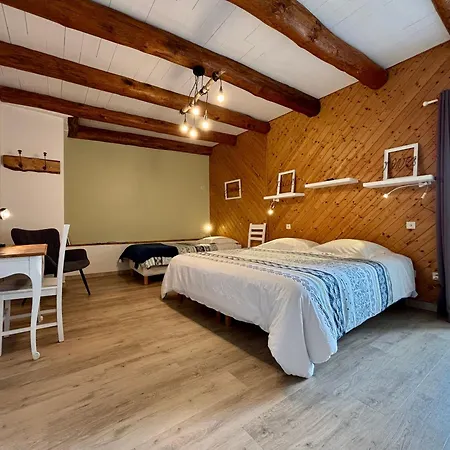Couette-café Location Au Coeur Du Deves, Proche Puy-en-velay Et Chemin De St-jacques - Fr-1-582-447 3*